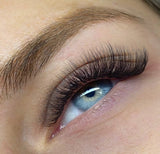 SPEED VOLUME Trepavice C zakrivljenost 0.05 - Premium Lashes